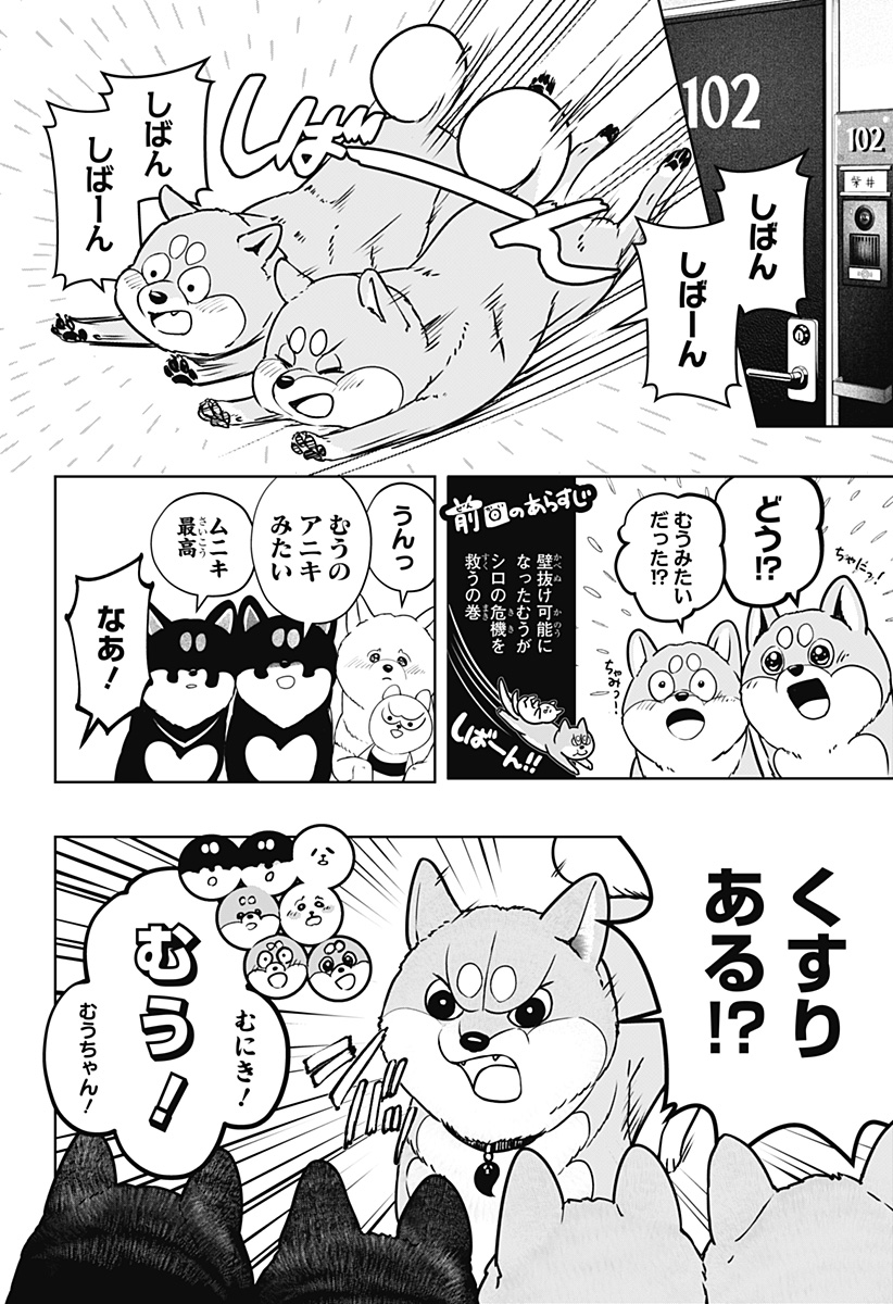 シバつき物件 Chap 11 - Next Chap 12