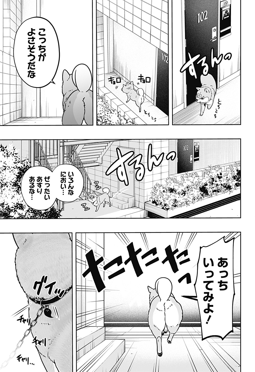 シバつき物件 Chap 11 - Next Chap 12