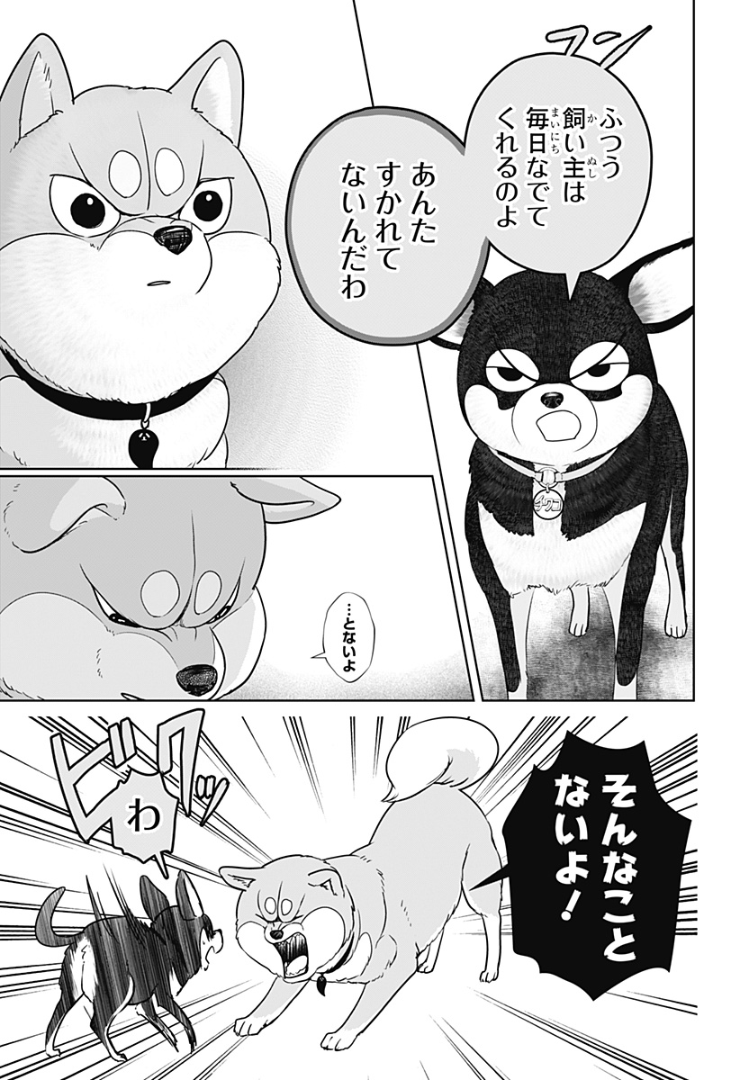 シバつき物件 Chap 21 - Next Chap 22
