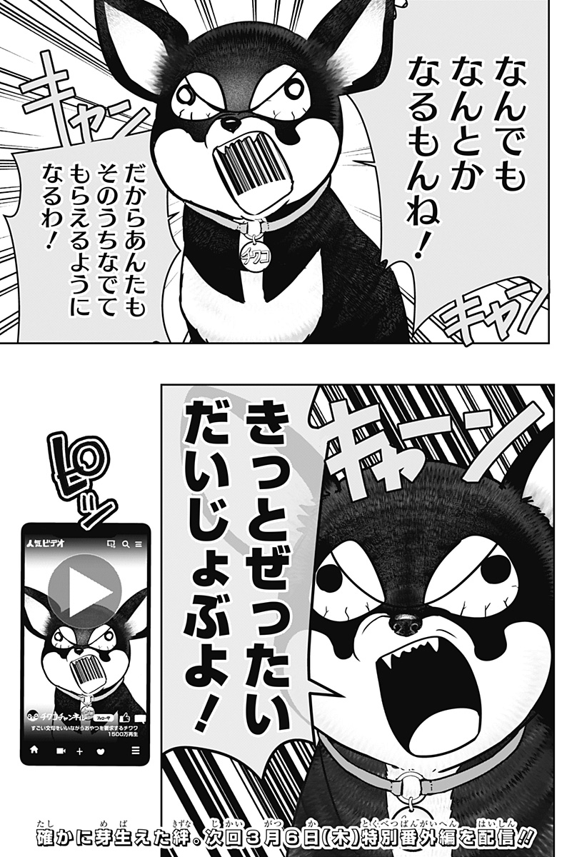 シバつき物件 Chap 21 - Next Chap 22