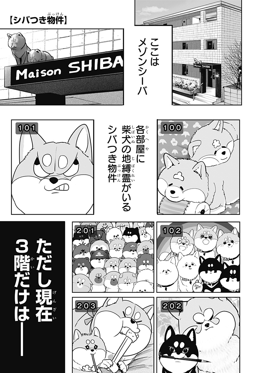 シバつき物件 Chap 24 - Next Chap 25