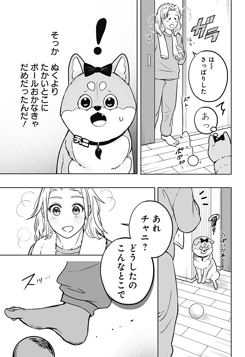 シバつき物件 Chap 33 - Next Chap 34