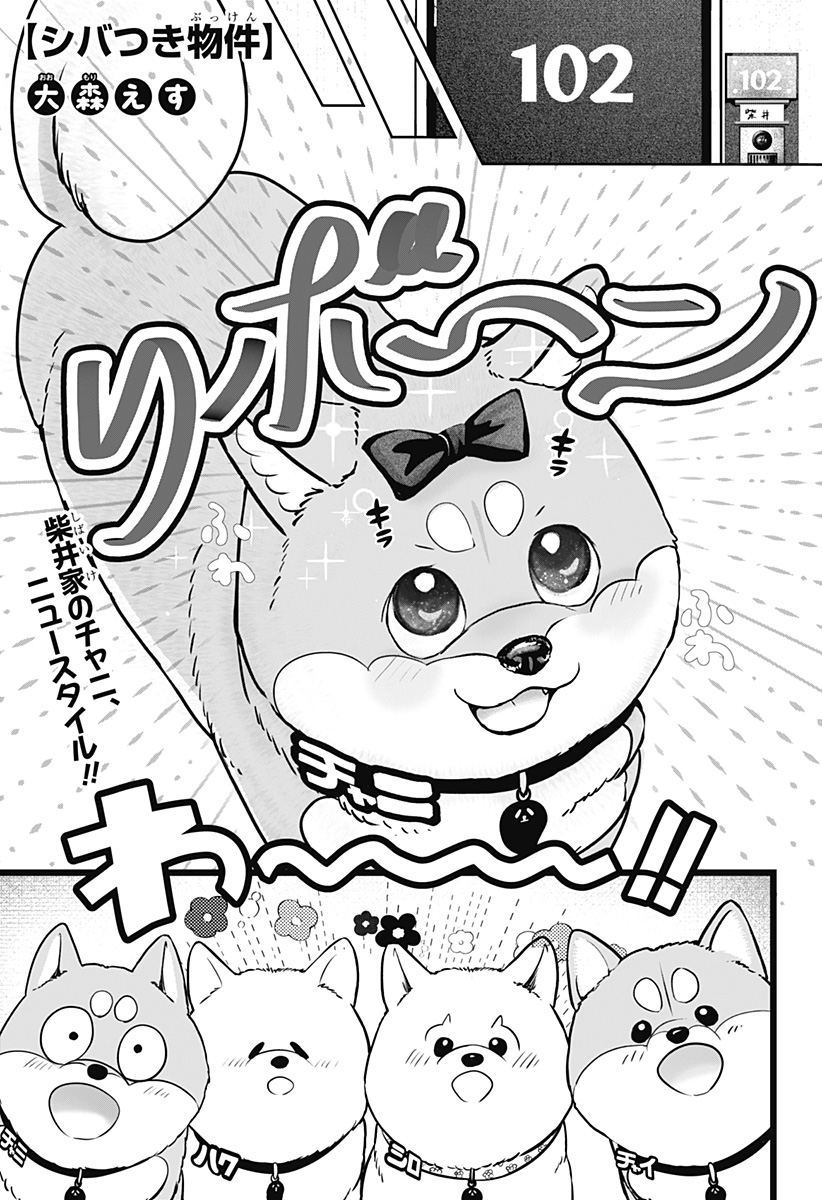 シバつき物件 Chap 33 - Next Chap 34