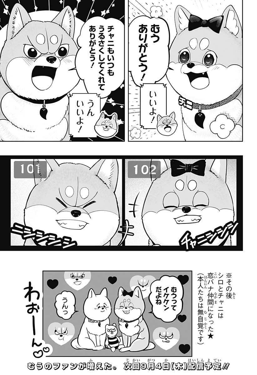 シバつき物件 Chap 33 - Next Chap 34
