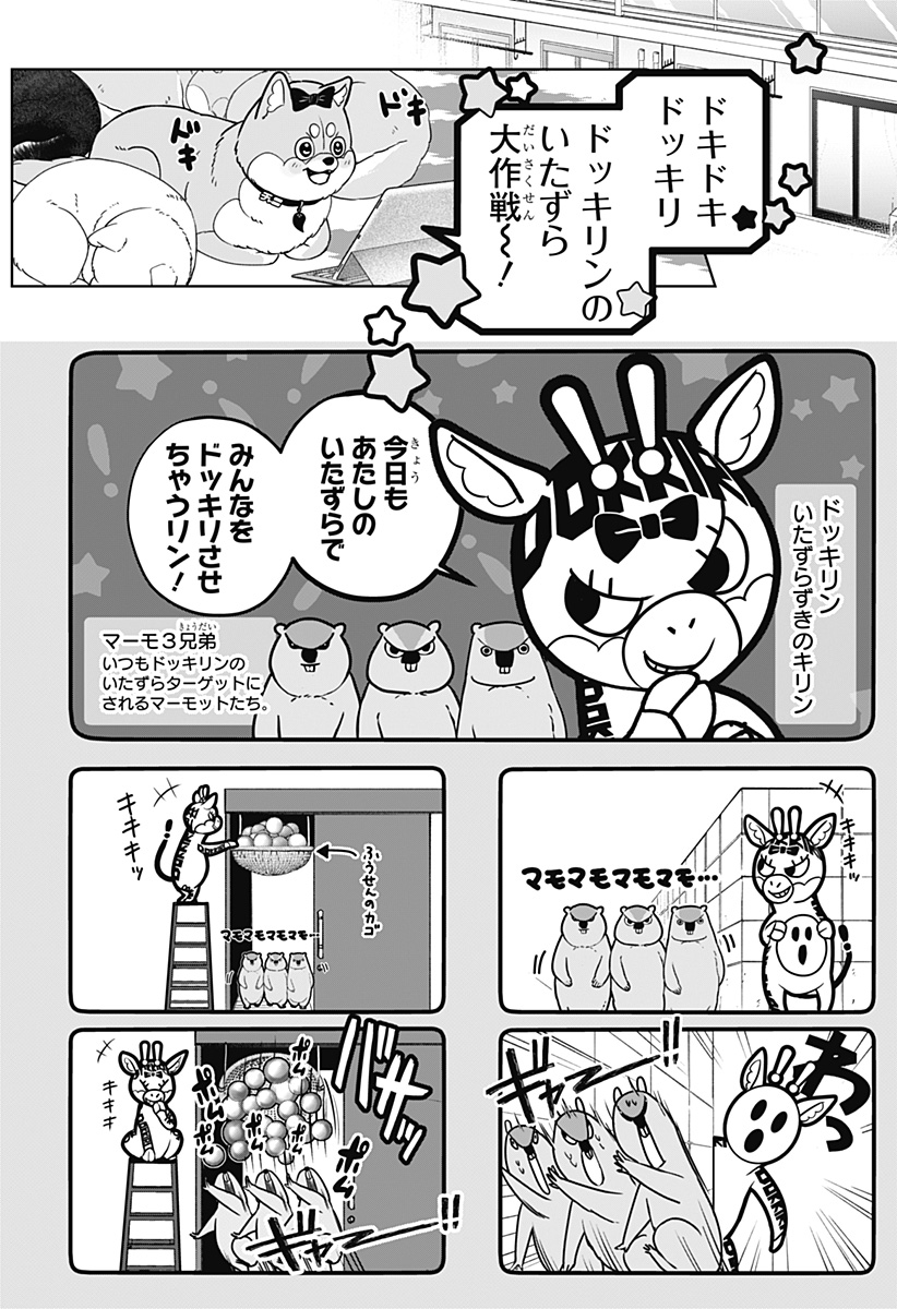シバつき物件 Chap 33 - Next Chap 34