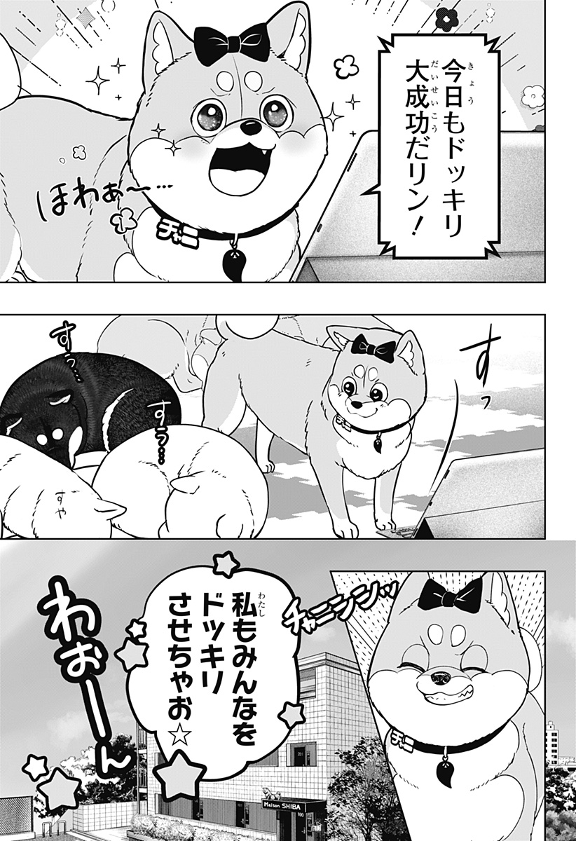 シバつき物件 Chap 33 - Next Chap 34