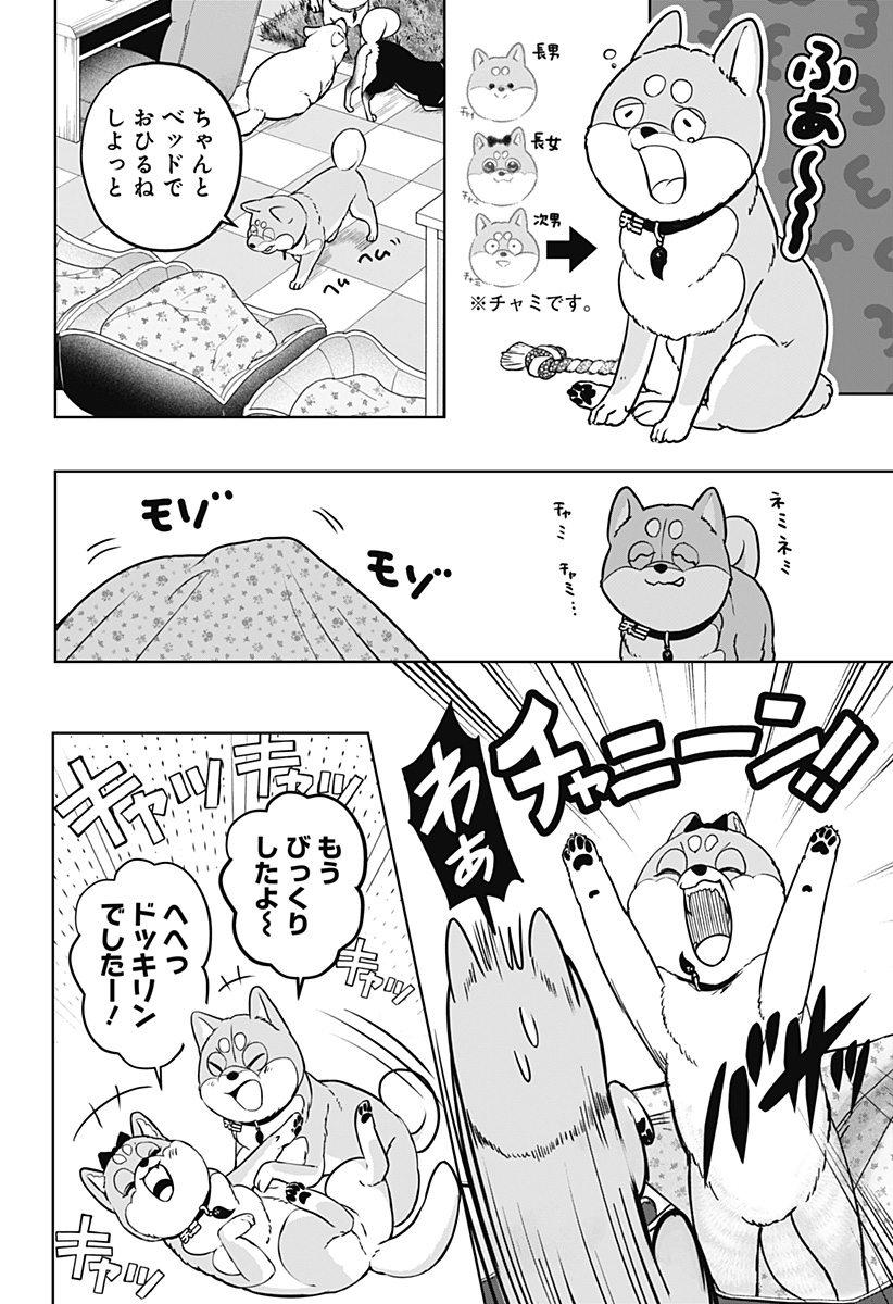 シバつき物件 Chap 33 - Next Chap 34