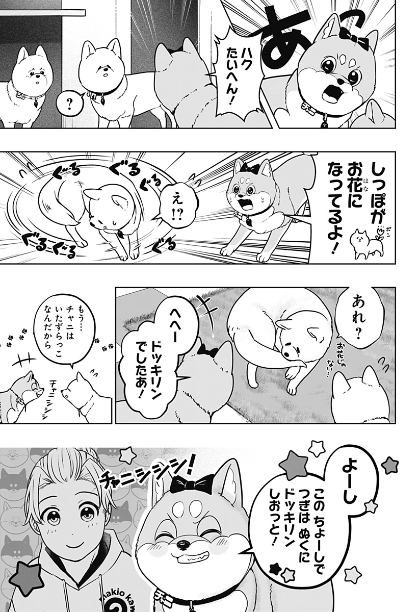 シバつき物件 Chap 33 - Next Chap 34