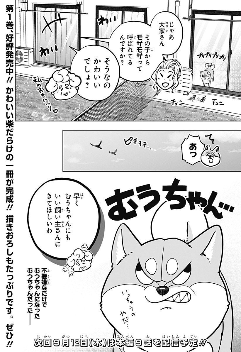 シバつき物件 Chap 8.5 - Next Chap 9.5