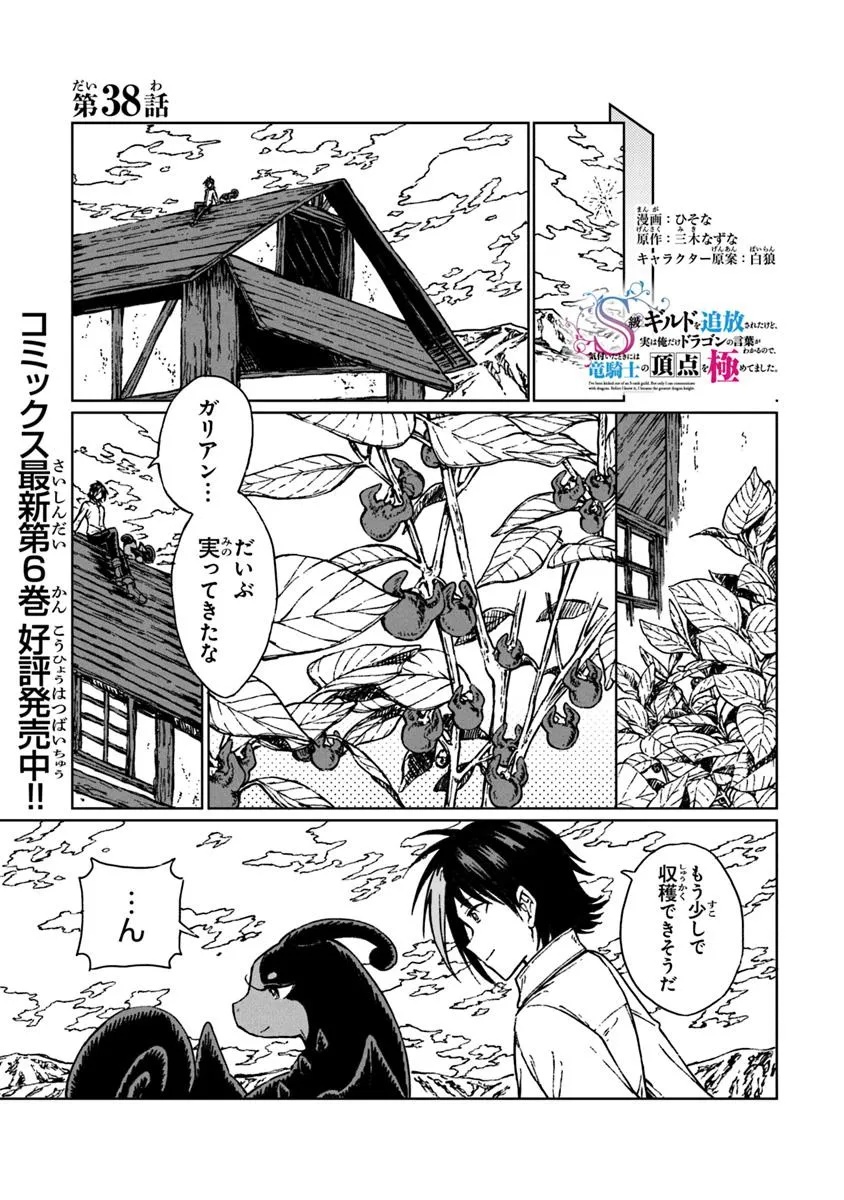 S-kyuu Guild wo Tsuihousareta kedo, Jitsu wa Ore dake Dragon no Kotoba ga Wakaru no de, Kidzuita Toki ni wa Ryuu Kishi no Chouten wo Kiwametemashita. Chap 38.1 - Next Chap 39.1