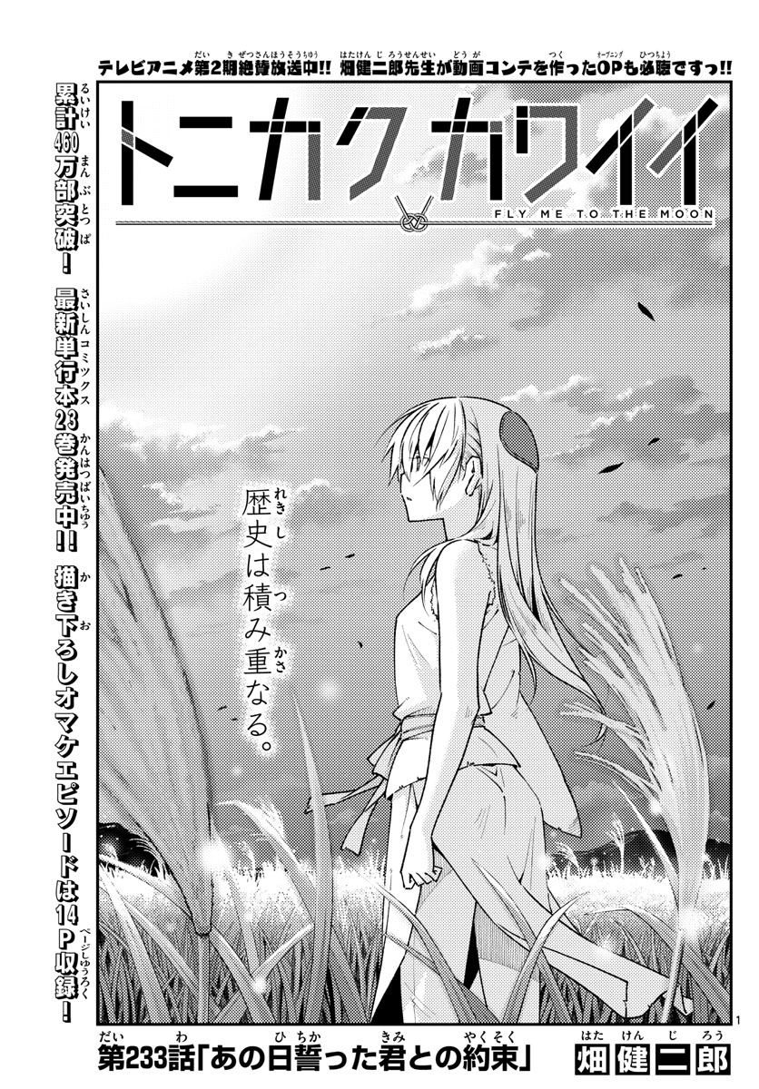 Tonikaku Kawaii Chap 233 - Next Chap 234