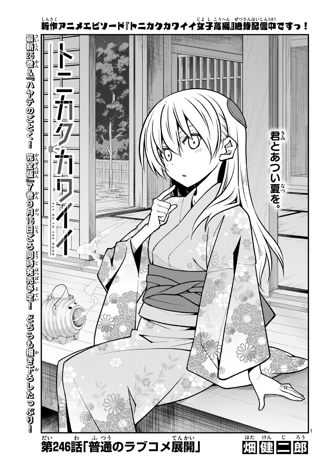 Tonikaku Kawaii Chap 246 - Next Chap 247