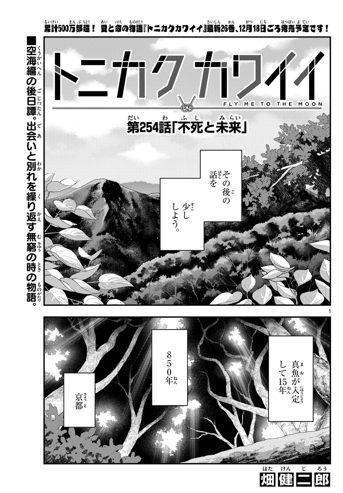 Tonikaku Kawaii Chap 254 - Next Chap 255