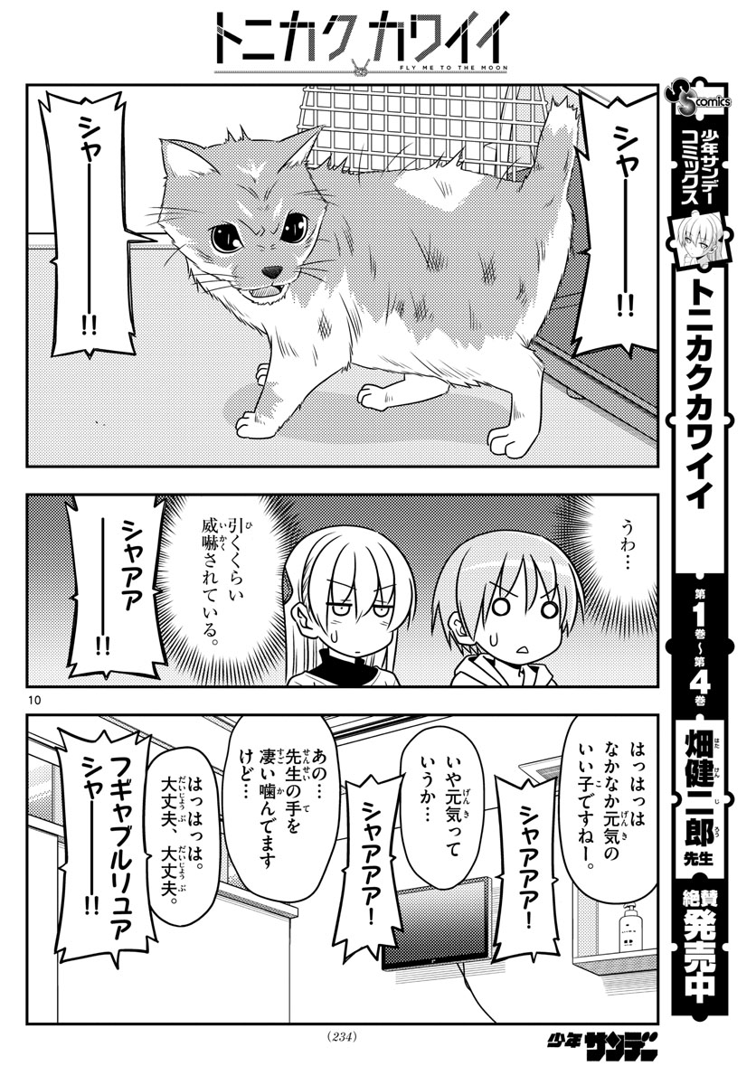 Tonikaku Kawaii Chap 51 - Next Chap 52