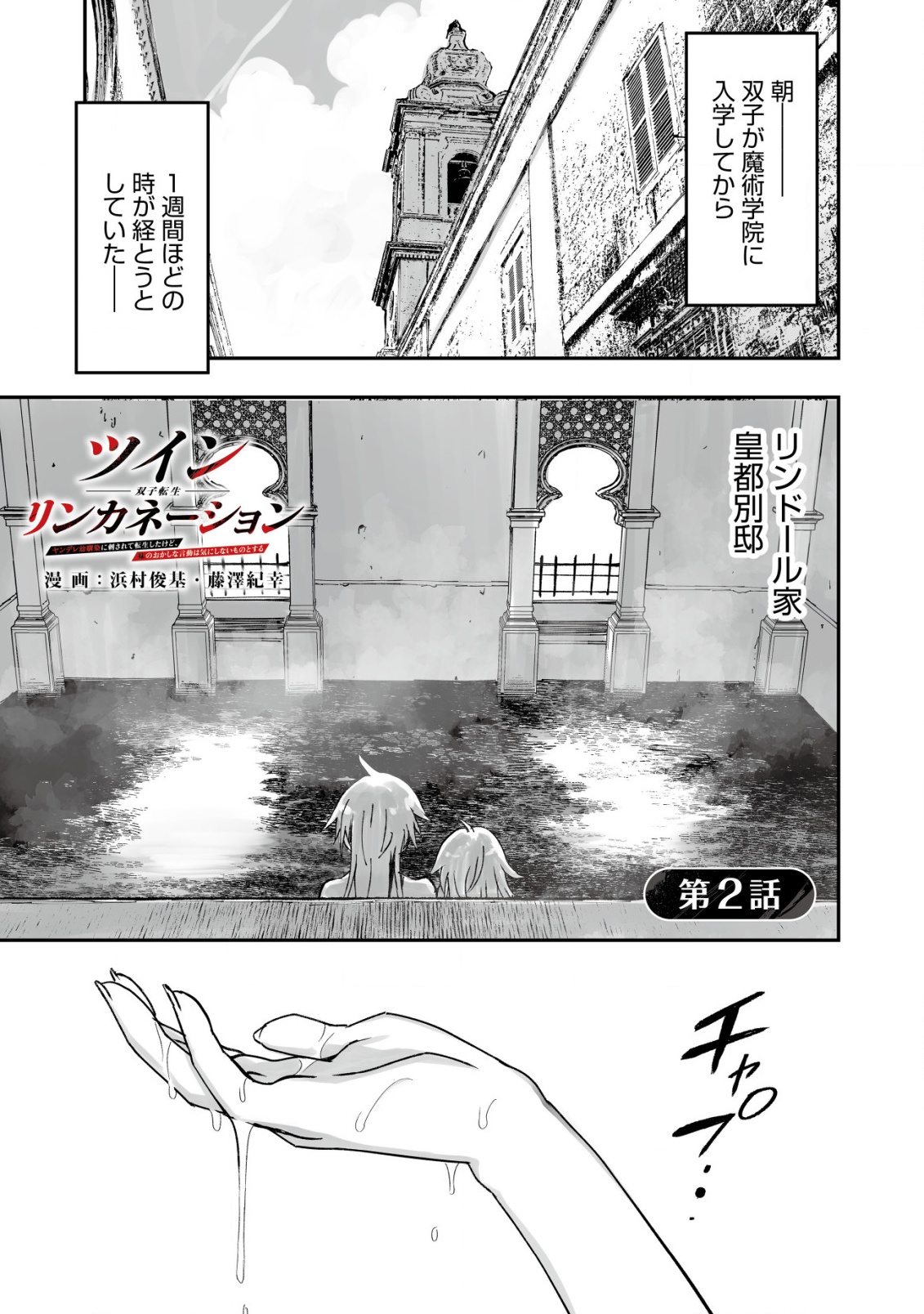 Twin Reincarnation Chap 2 - Next Chap 3