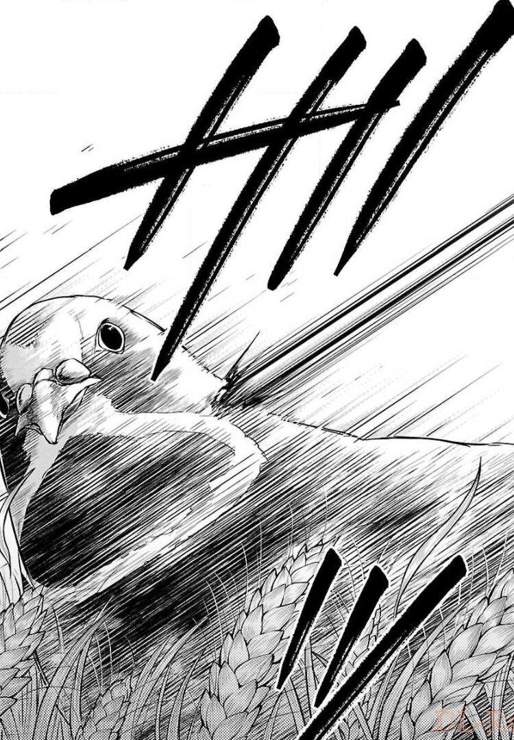 Ware ni Cheat o - Hazure Cheat no Shoukan Yuusha wa Isekai de Yukkuri Kurashitai Chap 3 - Next Chap 4