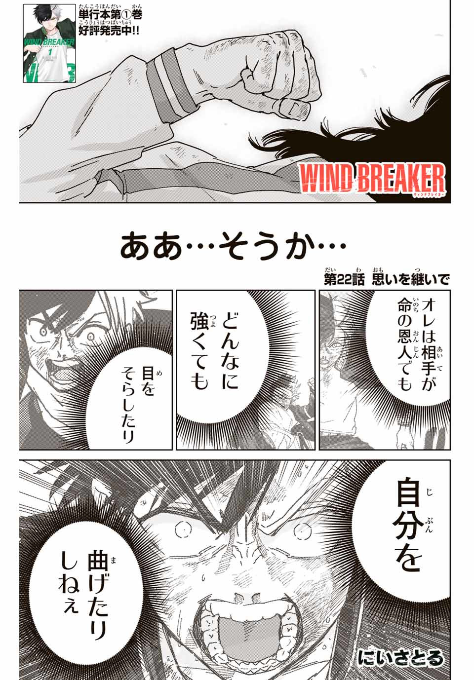 Windbreaker ウィンドブレイカー Wind Breaker (NII Satoru) Chap 22 - Next Chap 23