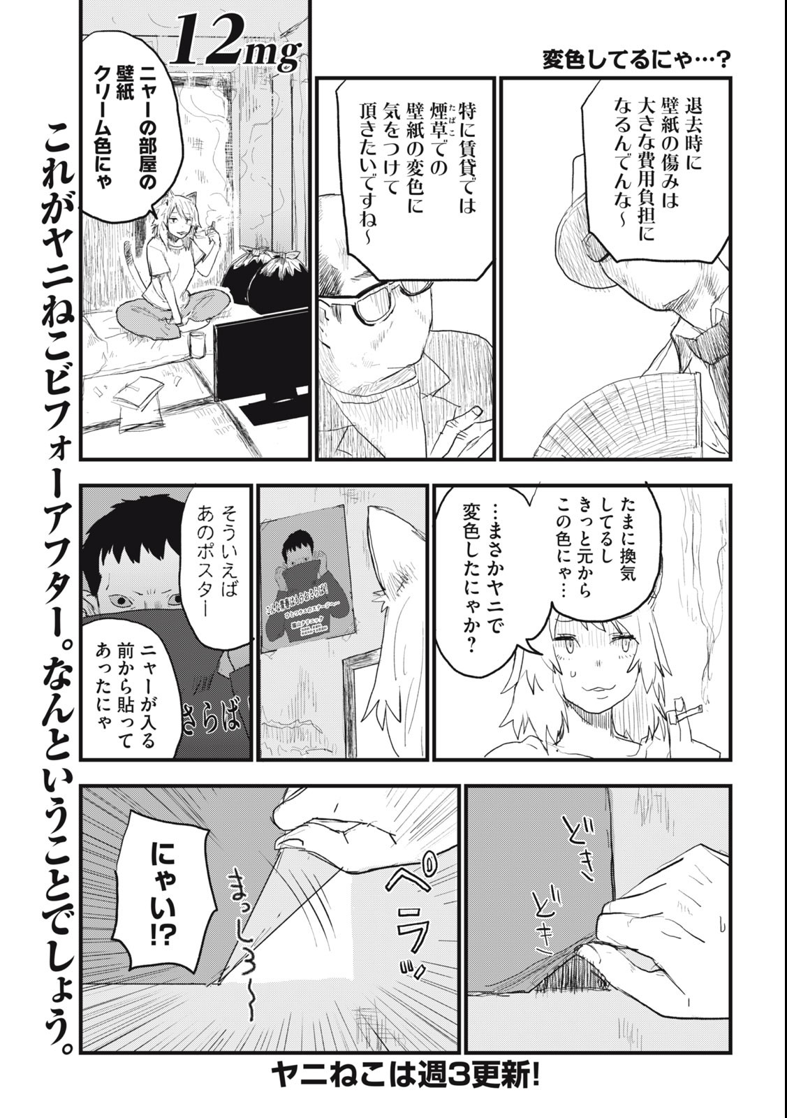 ヤニねこ Chap 12 - Next Chap 13