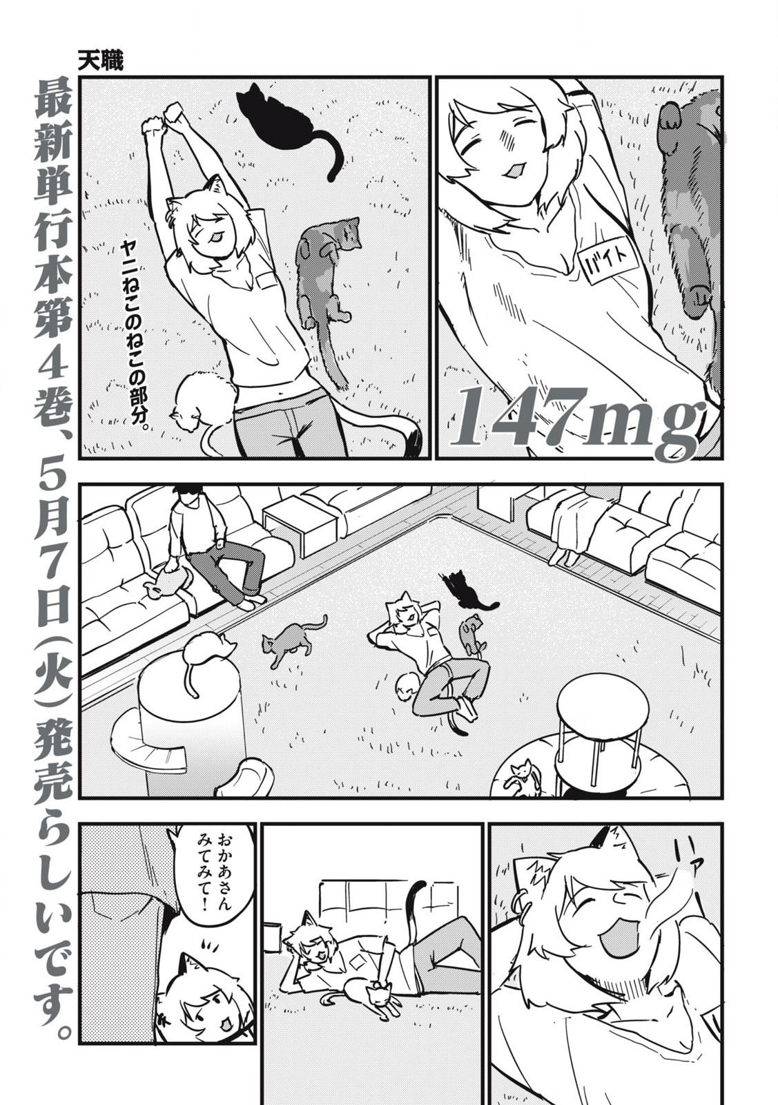 ヤニねこ Chap 147 - Next Chap 148