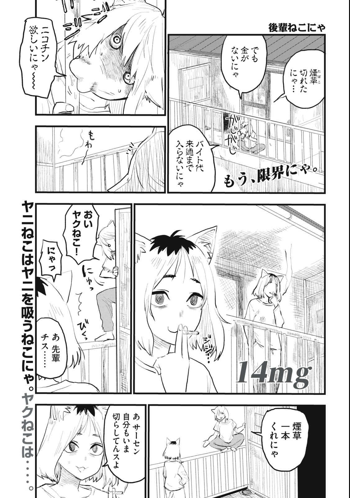 ヤニねこ Chap 14 - Next Chap 15