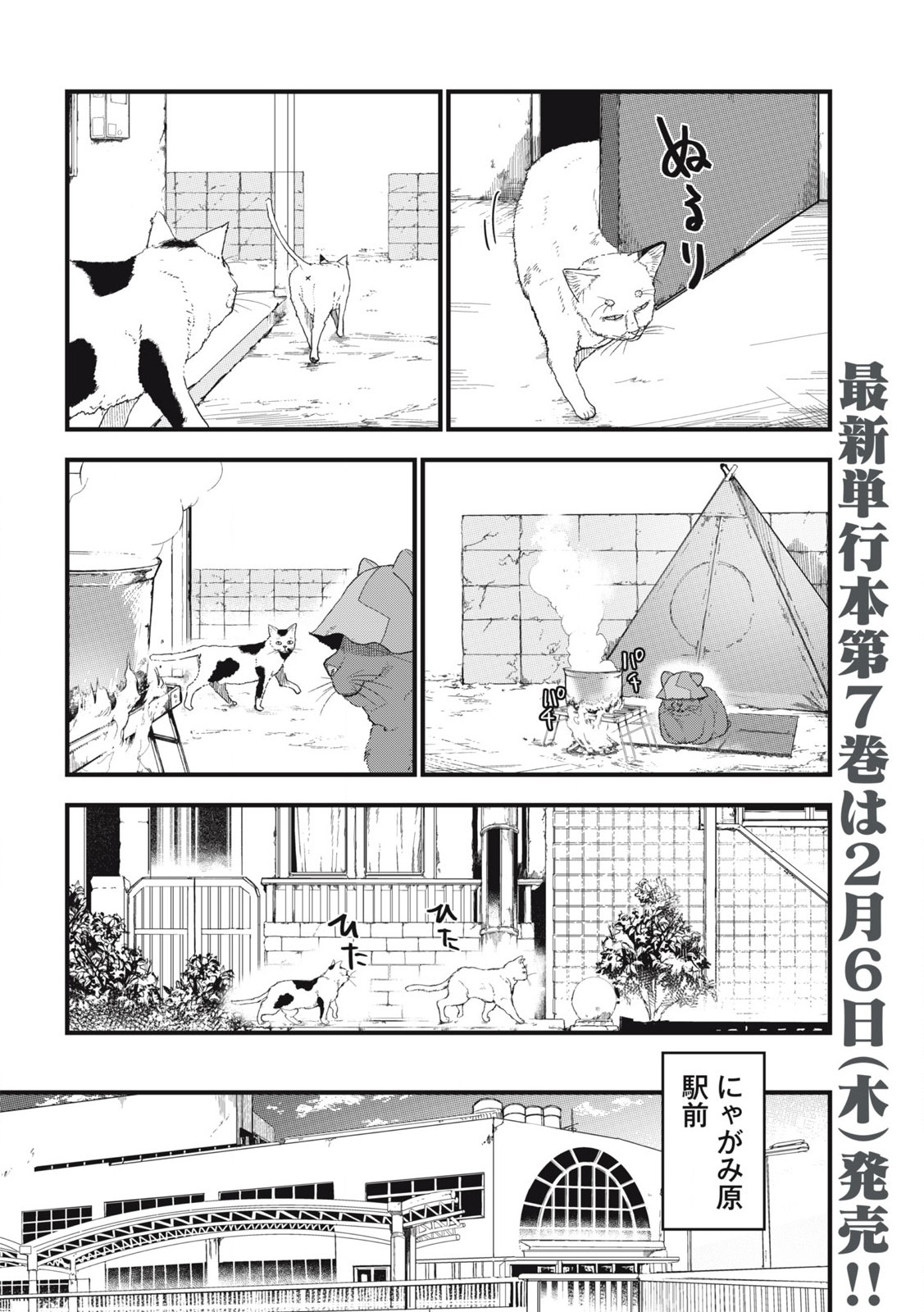 ヤニねこ Chap 235 - Next Chap 236