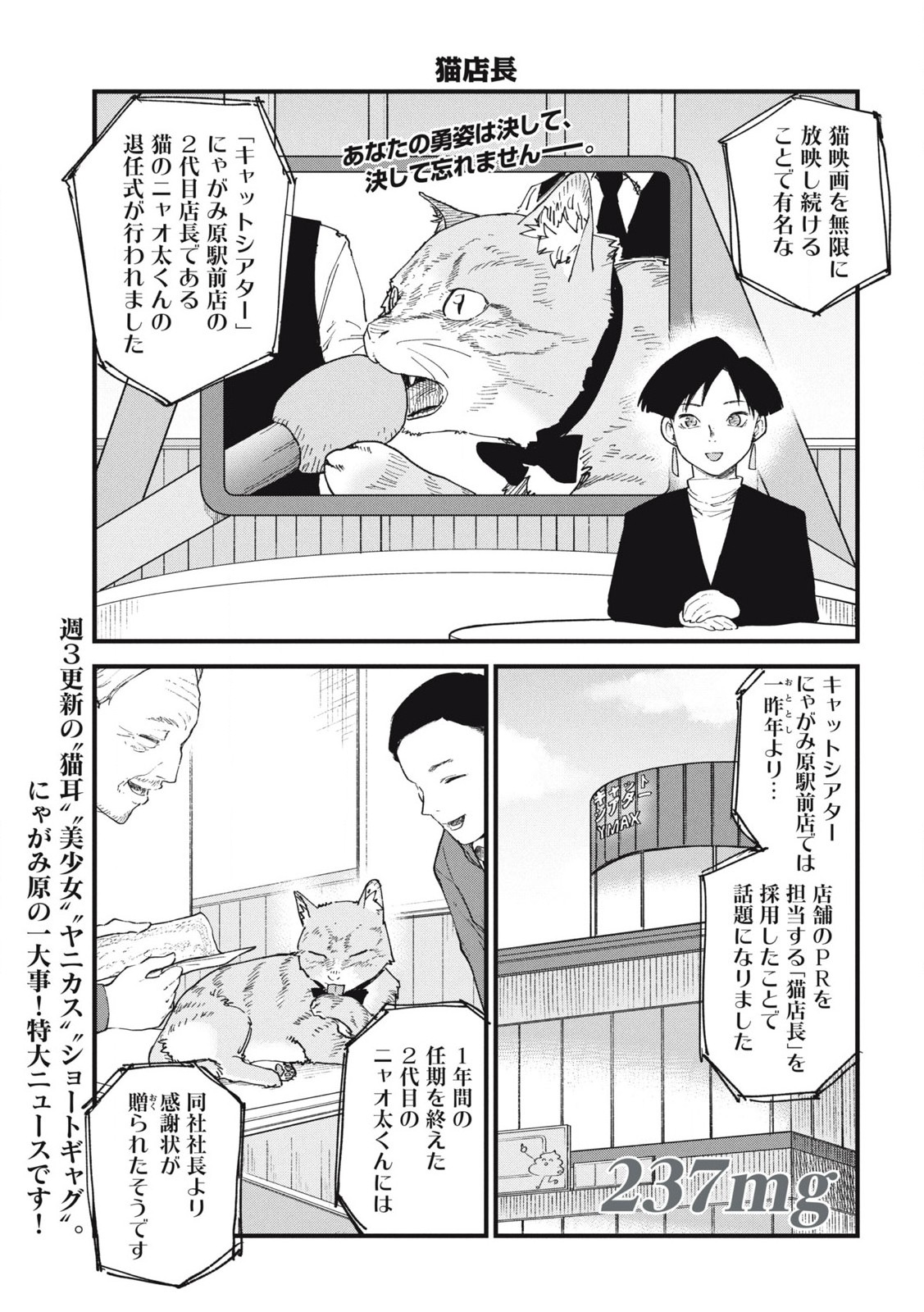 ヤニねこ Chap 237 - Next Chap 238
