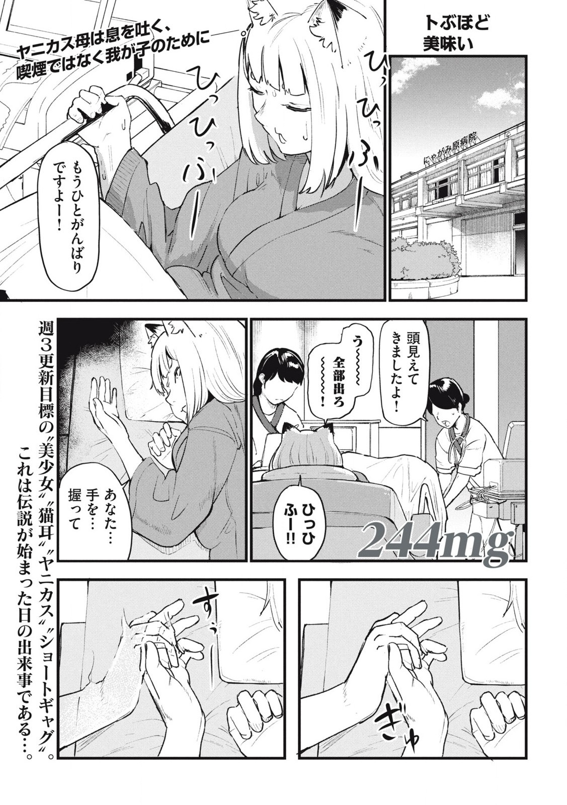 ヤニねこ Chap 244 - Next Chap 245