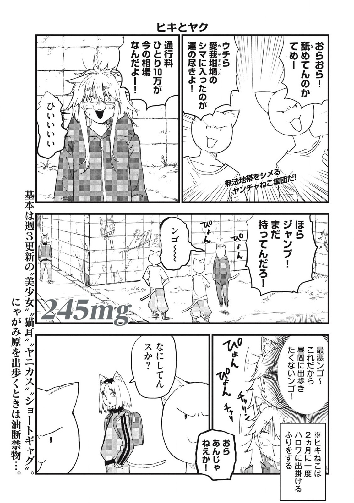ヤニねこ Chap 245 - Next Chap 246