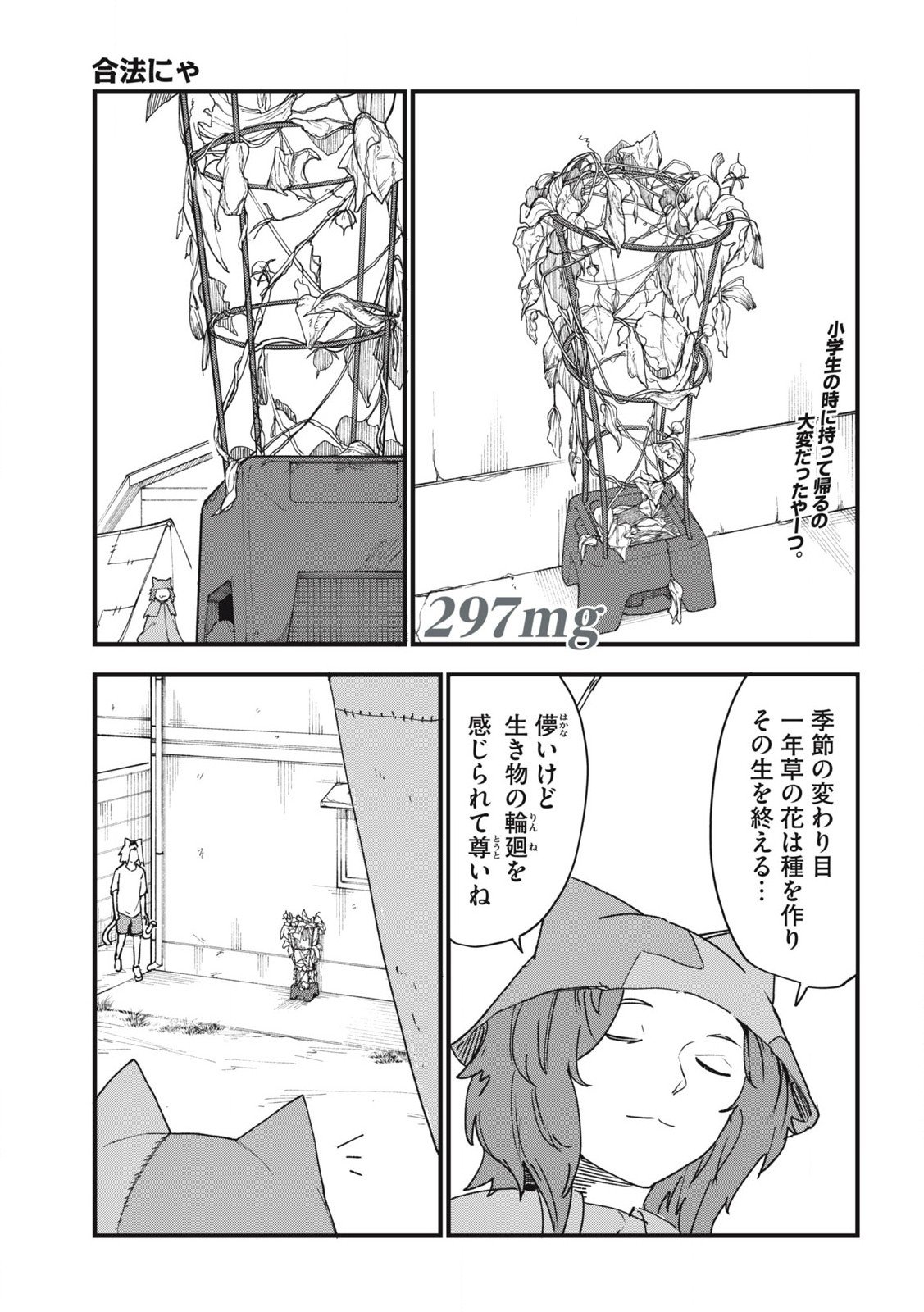 ヤニねこ Chap 297 - Next Chap 298