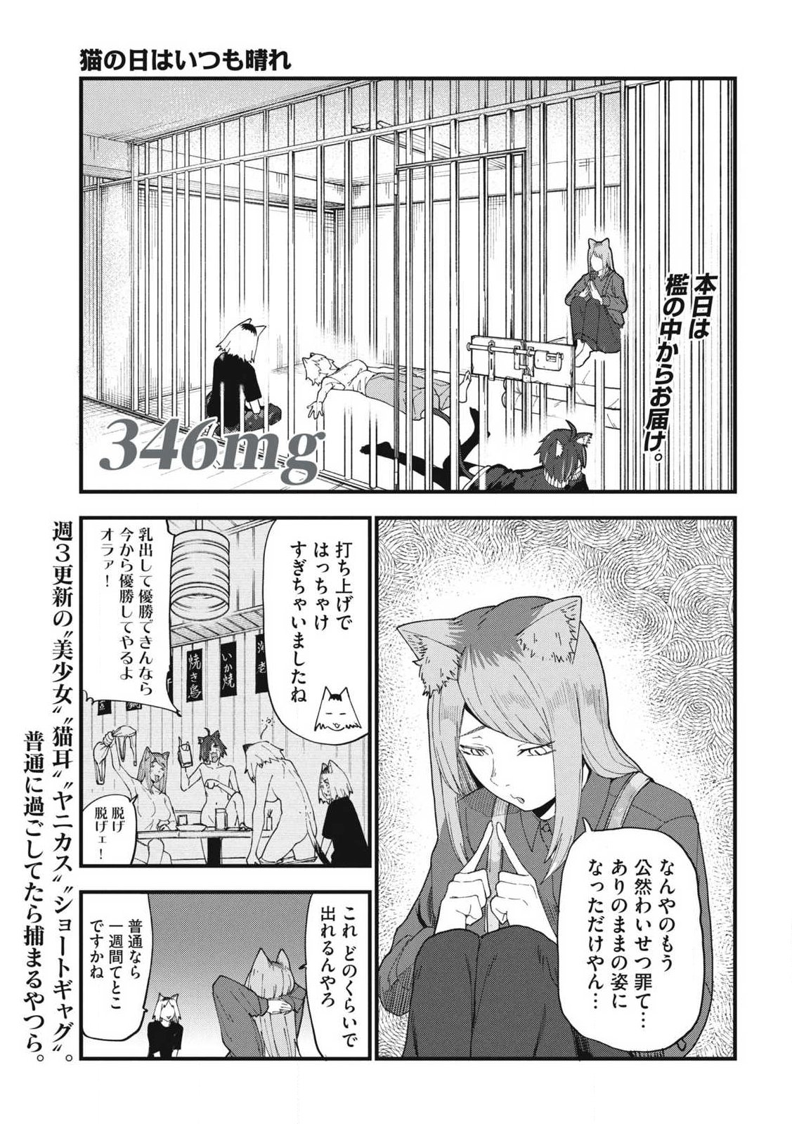 ヤニねこ Chap 346 - Next Chap 347