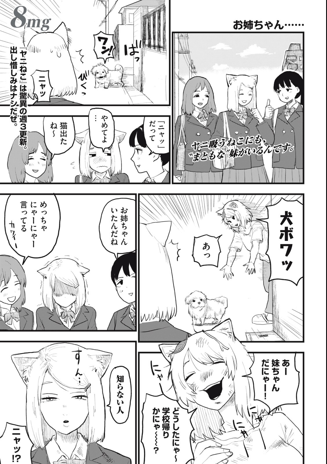 ヤニねこ Chap 8 - Next Chap 9
