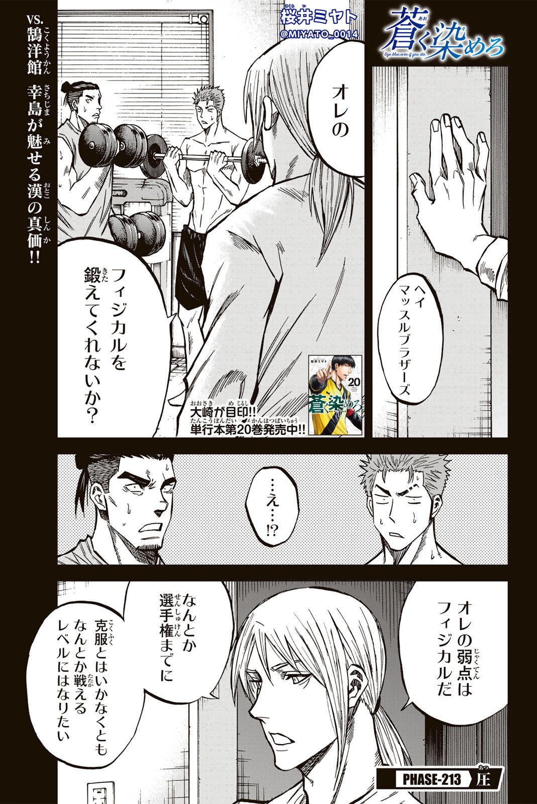 Aoku Somero Chap 213 - Next Chap 214