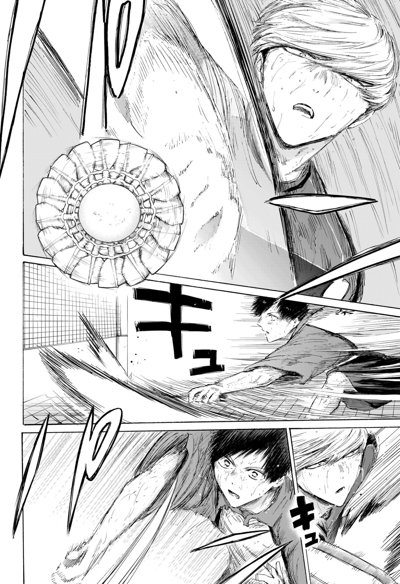アオのハコ Chap 242 - Next Chap 243