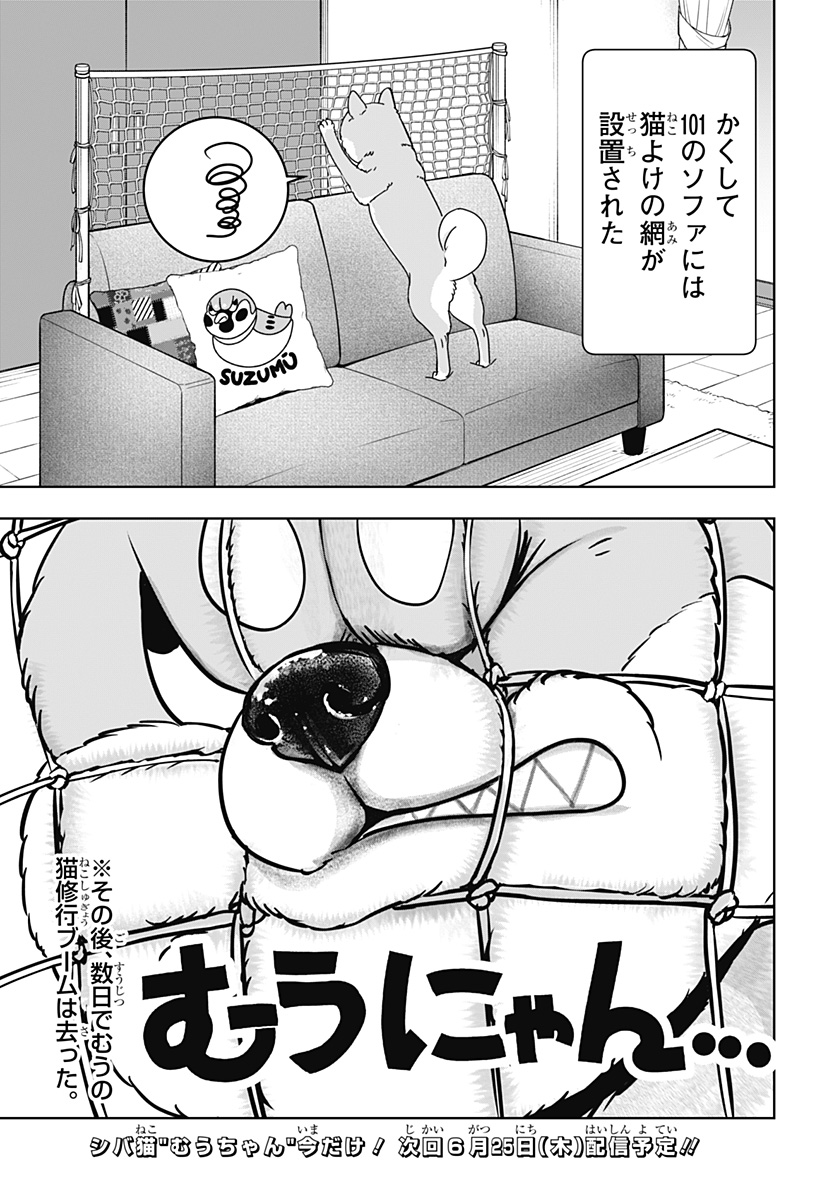シバつき物件 Chap 53 - Next Chap 54
