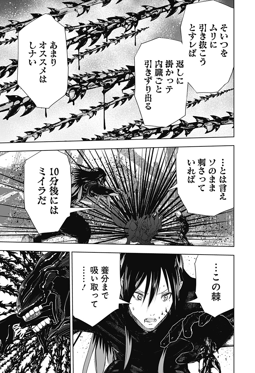 ワイルドストロベリー Chap 31 - Next Chap 32