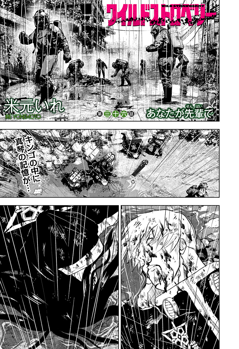 ワイルドストロベリー Chap 36 - Next Chap 37