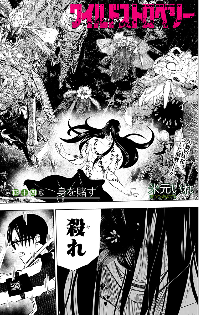 ワイルドストロベリー Chap 44 - Next Chap 45