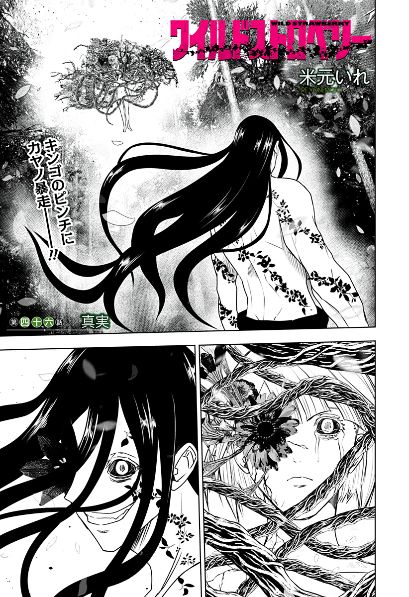 ワイルドストロベリー Chap 46 - Next Chap 47