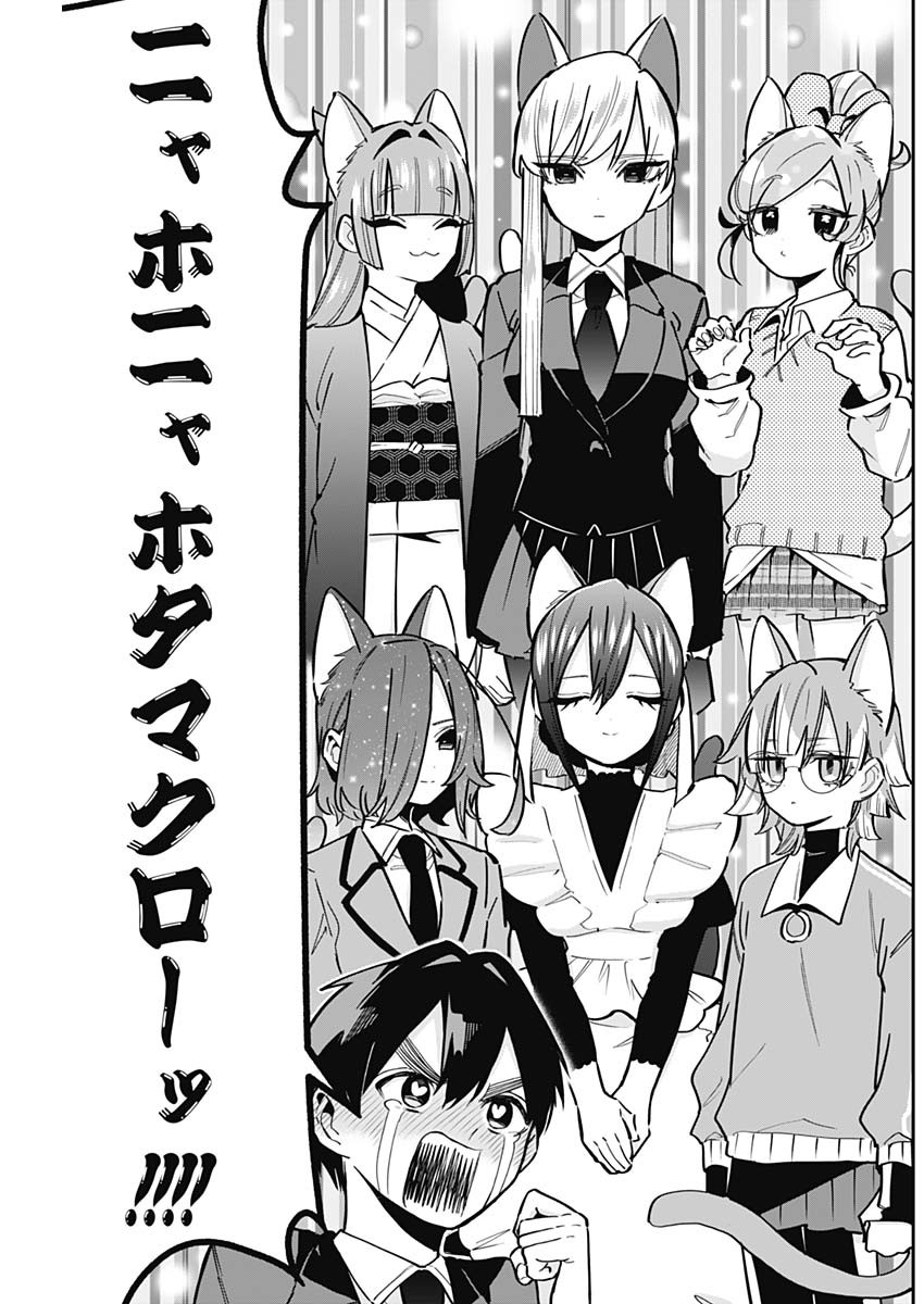 君のことが大大大大大好きな100人の彼女 Chap 142 - Next Chap 143
