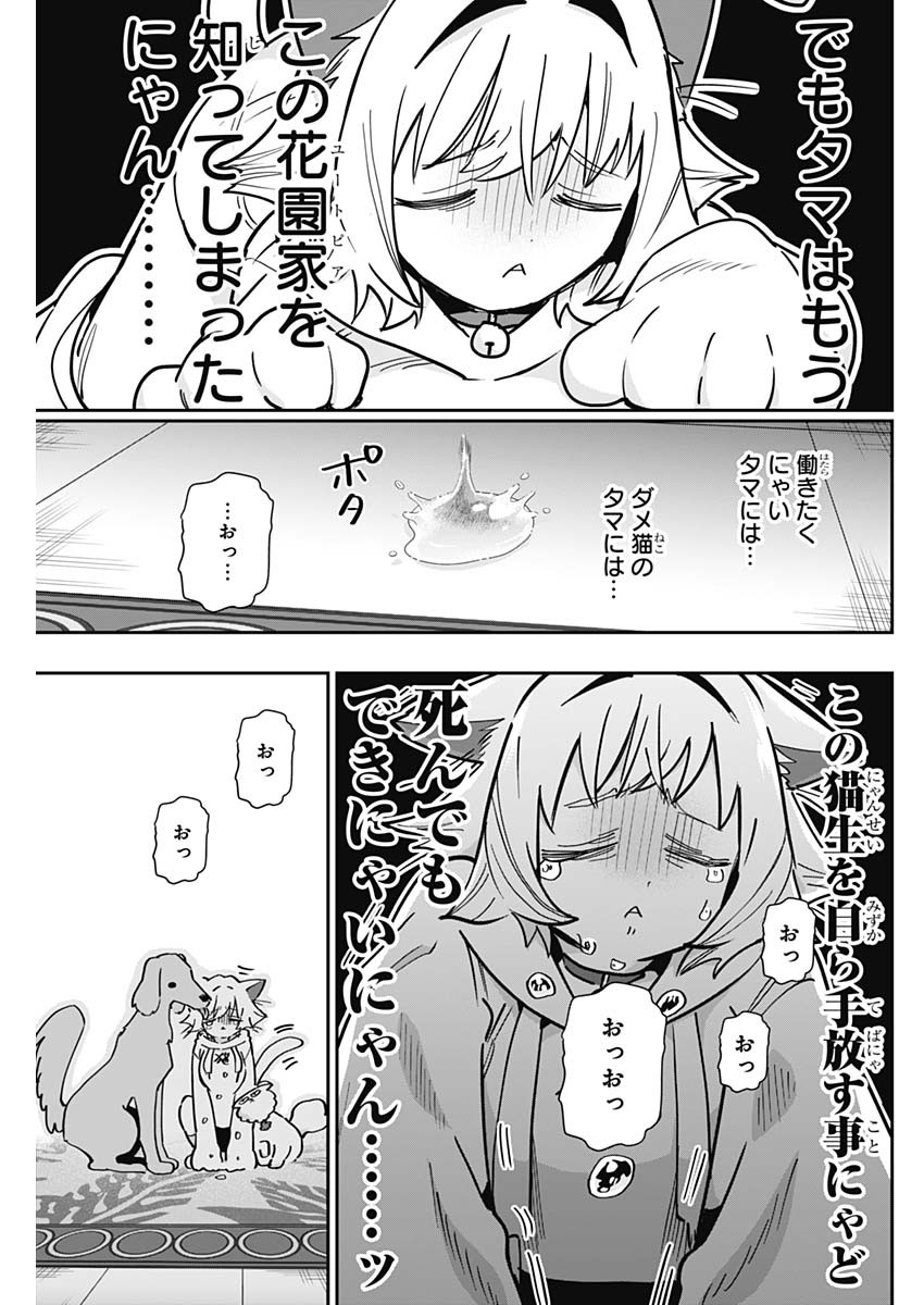 君のことが大大大大大好きな100人の彼女 Chap 147 - Next Chap 148