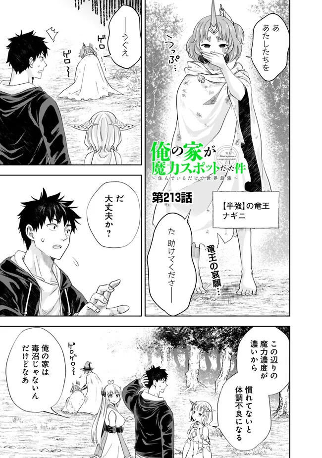 俺の家が魔力スポットだった件~住んでいるだけで世界最強~ Chap 213 - Next Chap 214