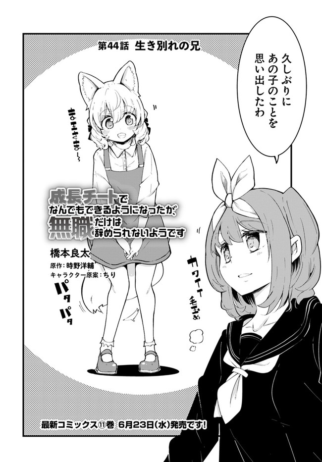 成長チートでなんでもできるようになったが、無職だけは辞められないようです Chap 44 - Next Chap 45