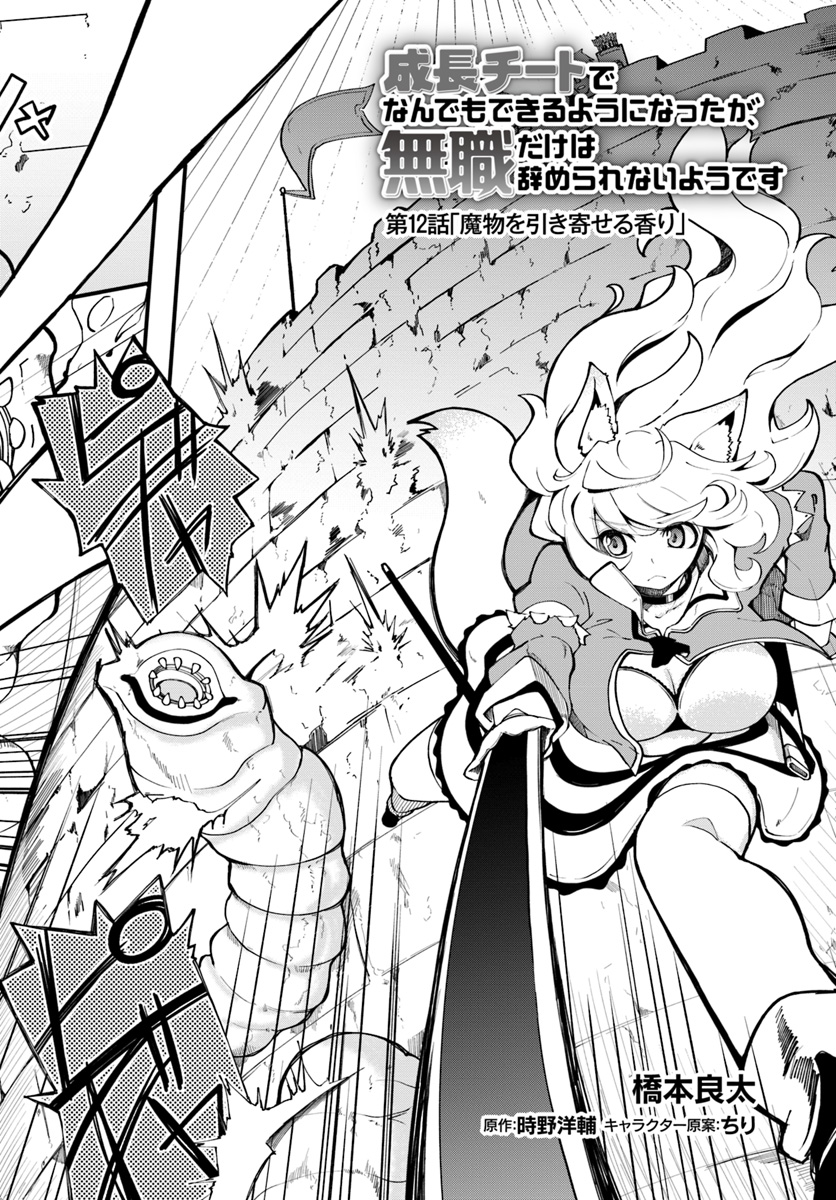 成長チートでなんでもできるようになったが、無職だけは辞められないようです Chap 12 - Next Chap 13