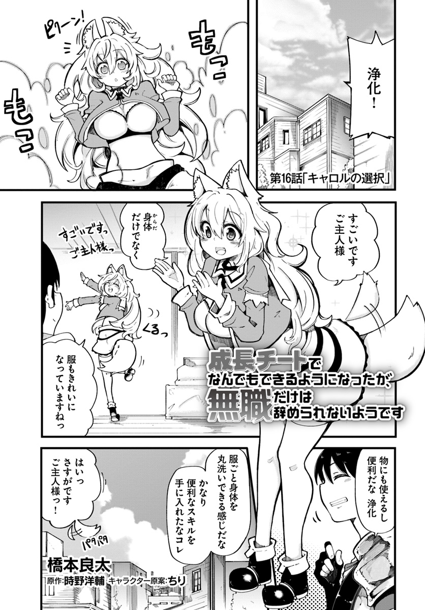 成長チートでなんでもできるようになったが、無職だけは辞められないようです Chap 16 - Next Chap 17