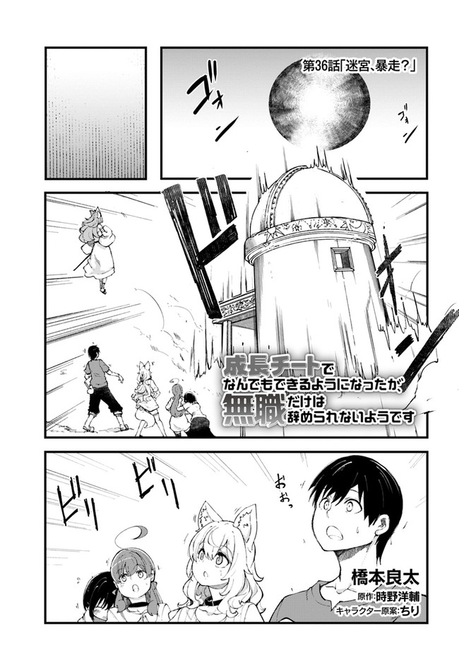 成長チートでなんでもできるようになったが、無職だけは辞められないようです Chap 36 - Next Chap 37
