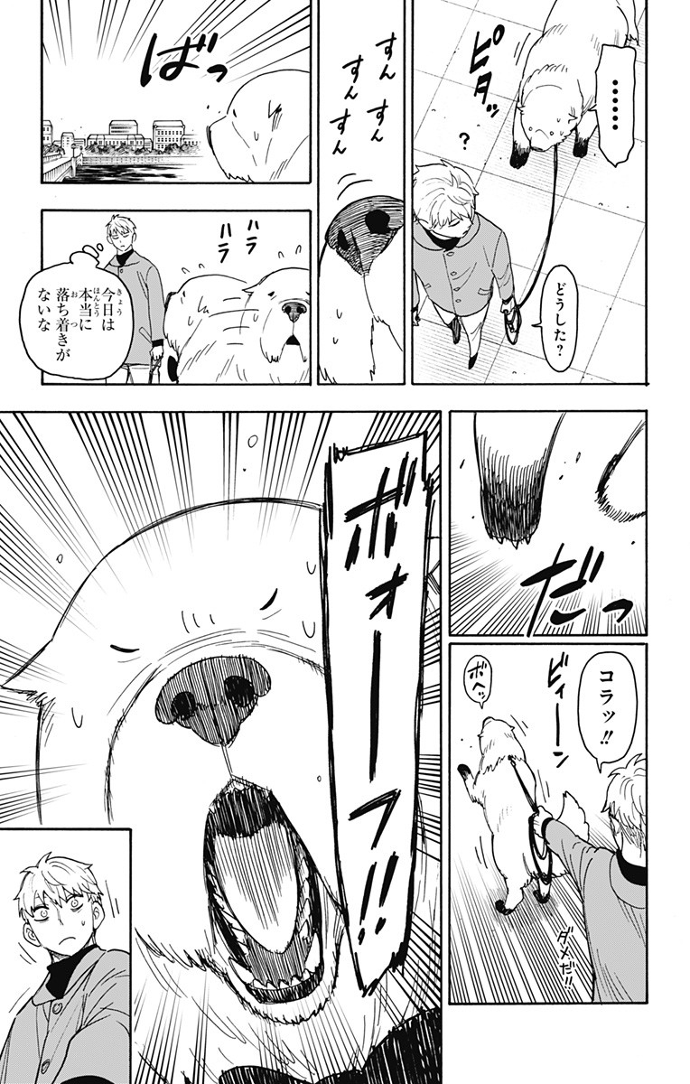 スパイファミリー Chap 58 - Next Chap 59