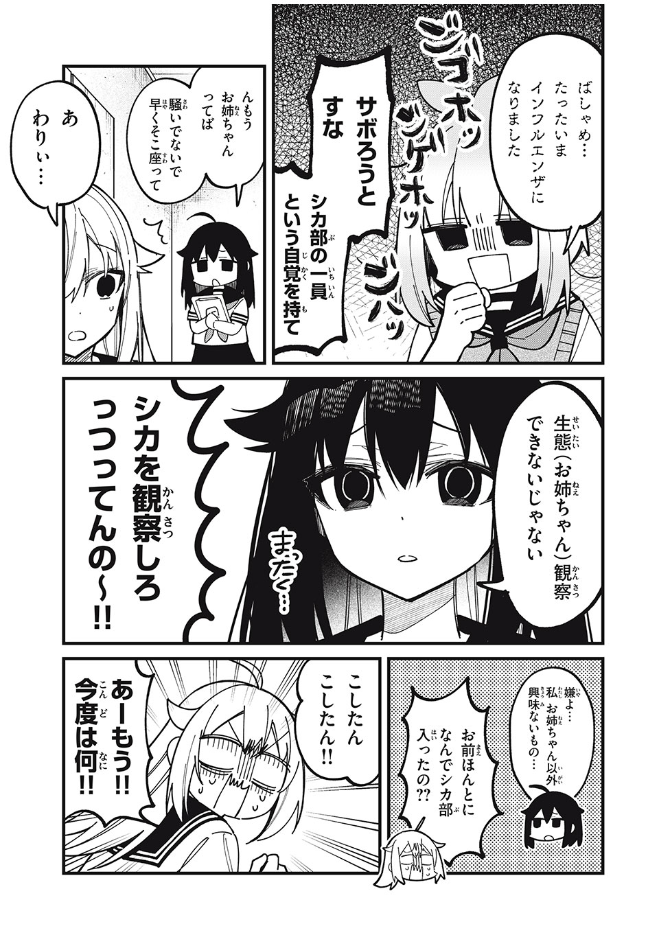 しかのこのこのここしたんたん Chap 40 - Next Chap 41