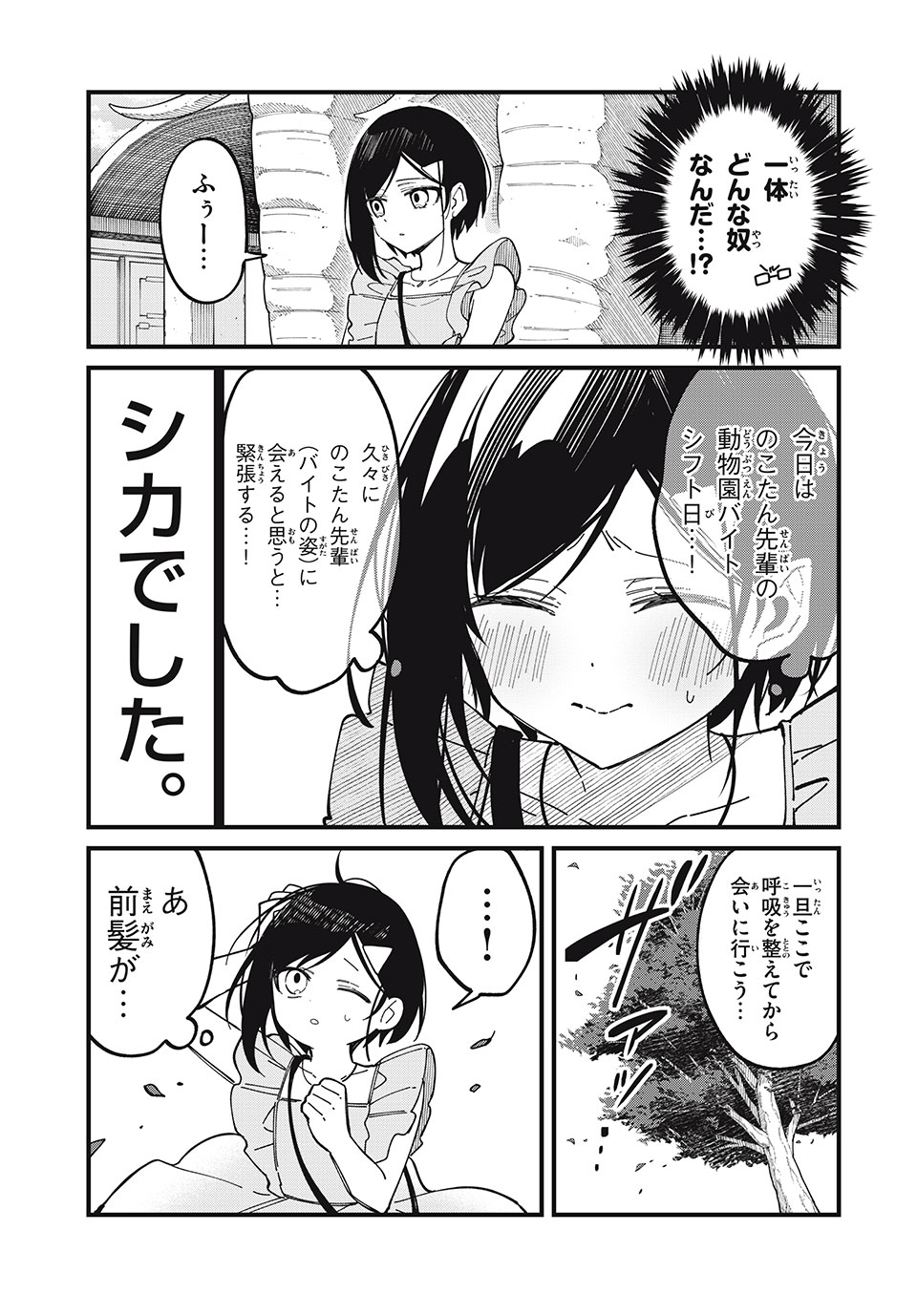 しかのこのこのここしたんたん Chap 42 - Next Chap 43