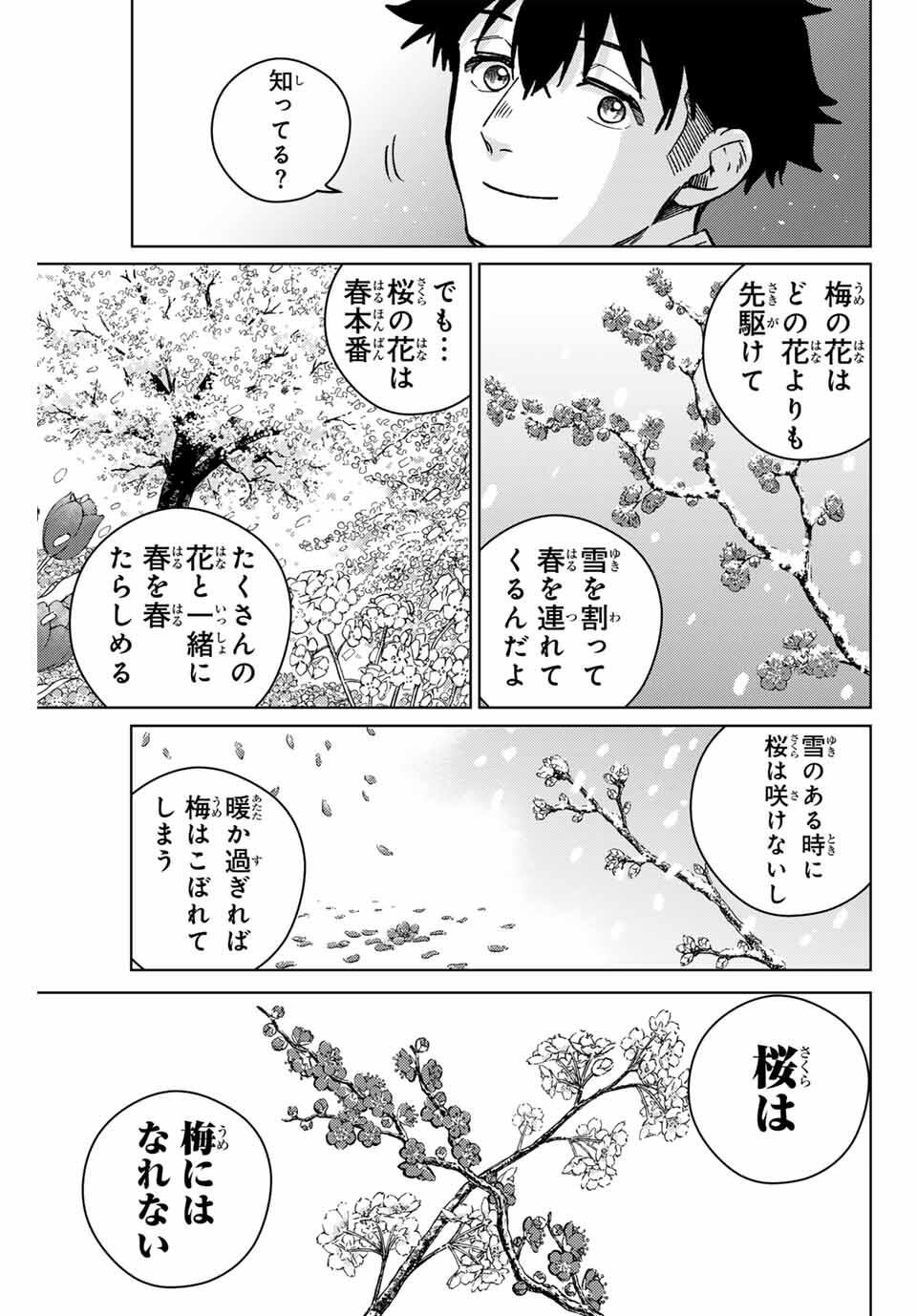 Windbreaker ウィンドブレイカー Wind Breaker (NII Satoru) Chap 181 - Next Chap 182