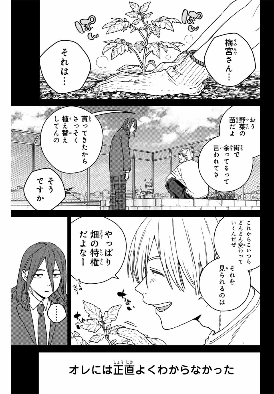 Windbreaker ウィンドブレイカー Wind Breaker (NII Satoru) Chap 164 - Next Chap 165